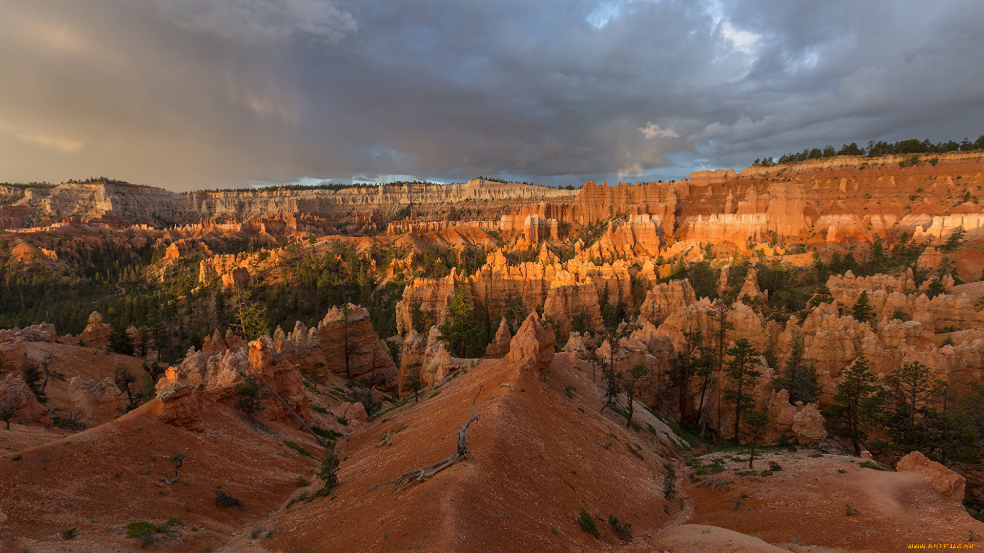 bryce canyon, utah, , , bryce, canyon